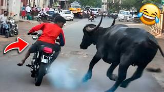 Funny Stunt Fails 😂 | Public Stunts Gone Wrong