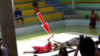 Крокодиловая ферма в Тайланде, Пхукет, чуть не откусил