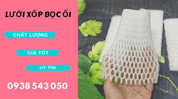 CUNG CẤP XỐP LƯỚI BỌC TRÁI CÂY GIÁ SỈ