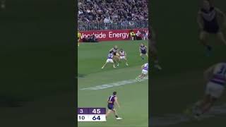 Caleb Daniel knocks over Sean Darcy!!! #afl