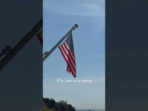 #thisismackinac #mackinacisland #michigan #nature #fyp