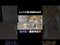 しゃべって動くおもちゃの犬に目が点になる柴犬 A Shiba Inu freezes with wide eyes at a talking, moving toy dog