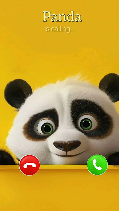 Panda is calling #ringtone #panda #shortvideo