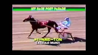 1990 Freehold Raceway HEAVENLY DAZE Larry Setola