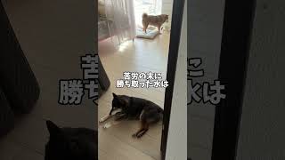 努だことに意味がある？？？