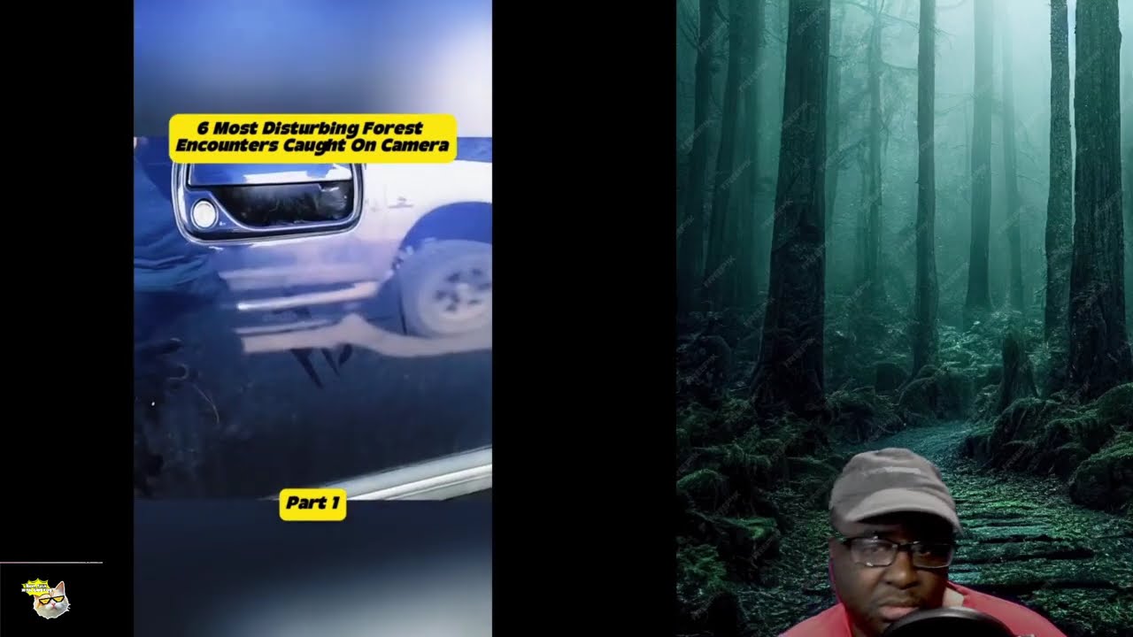 Real Scary Forest Encounters You Won’t Believe: Rakes, Ghosts and Mysterious Creatures