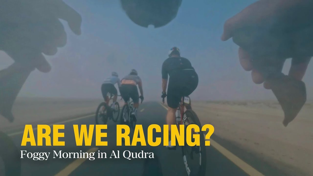 Is the Race Still On? | Foggy Morning in Al Qudra