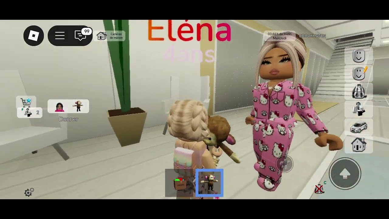 Brookhaven je me suis fait adopter 