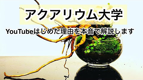 アクアリウム大学 アクアレンタリウム公式
