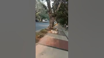 Ignou Solved Assignment EPA 1 2018-19