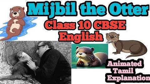 Mijbil the Otter Class 10 English CBSE In Tamil Animated Explanation/ English Abaca