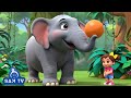 Hathi Raja New Nursery Rhyme | हाथी राजा | SAM TV - Hindi | Dance Song for Kids