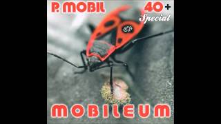 P.Mobil - Embered voltam [akusztikus verzió] (Mobileum - 2009) - dalszöveggel