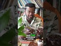 Excelsa Coffee The World's Rarest Bean Revealed! #shorts