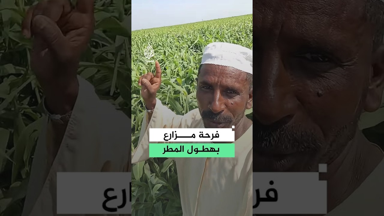 "لك الحمد ولك الشكر".. فرحة مزارع سوداني بهطول الأمطار تتصدر التريندات في السودان