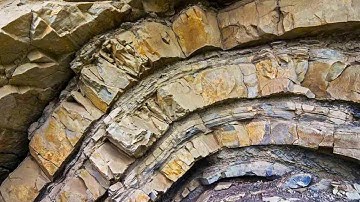 Scientists Uncover Mysterious Tunnels Belonging to an Unknown Ancient Lifeform