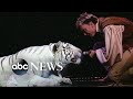 Siegfried & Roy: Behind the Magic l 20/20 l PART 5