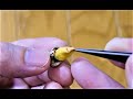 イラガのサナギをマユから引きずり出す！！ Pull out the moth pupa of the cocoon