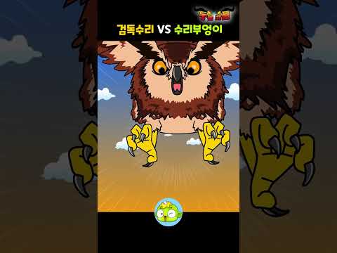 하늘의 제왕 <strong>검독수리</strong> vs 밤의 제왕 수리부엉이, 진짜 이기는 동물은? 🦅🦉 #shorts #동물배틀 #깨비키즈
