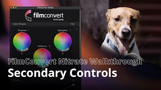 FilmConvert Nitrate Walkthrough | Secondary Controls FilmConvert Nitrate Walkthrough | Secondary Controls