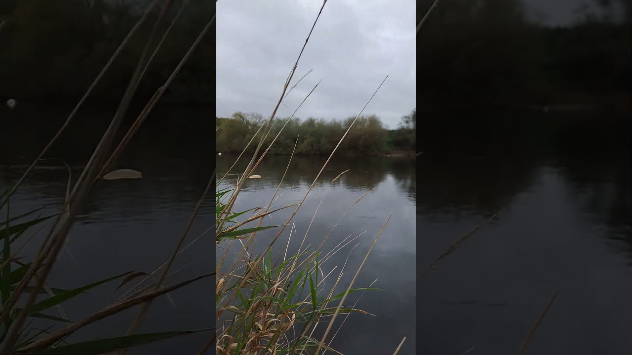 ДОМ РЫБ-МОНСТРОВ 🐟 