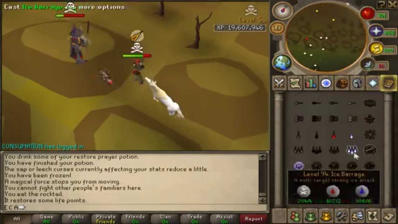 Ace Pk Session 1 | Maxed Chaotic Pure | 100% Pure Hybridding | Eruption of Pures