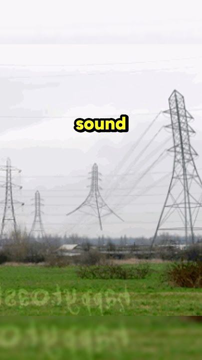Can You Hear The Noise?😱