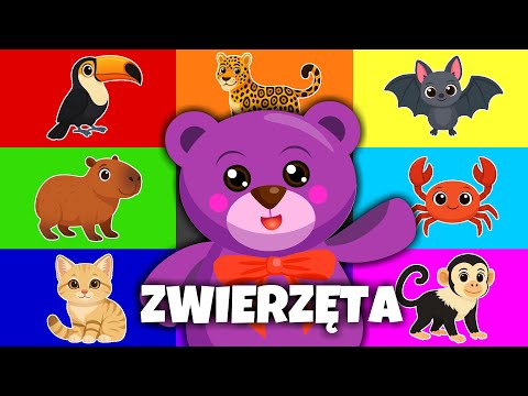 🐯 Zwierzęta Świata z Bubusiem - FILMY EDUKACYJNE - Zwierzęta dla Dzieci 🐯