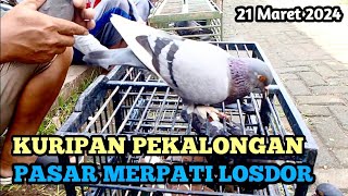 KONDISI TERBARU PASAR MERPATI KURIPAN PEKALONGAN 2024