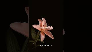 Flört-Manolya