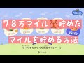 【あつ森】簡単マイル稼ぎ。70万マイル以上貯めた島民代表の日常。毎日、どれくらいマイルを貯めているの??【時間操作なし】