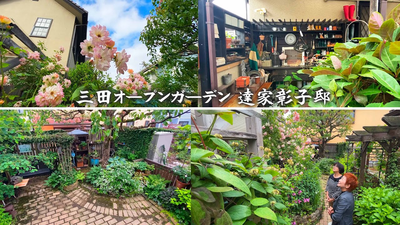 【三田オープンガーデン】現代表の達家邸の庭へ／見た目のオシャレの裏に隠された数々のガーデンテクニックを公開／家族DIYで楽しむ過ごす庭【達家彰子】