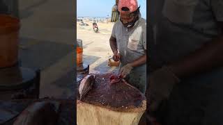 Skipjack Tuna Cutting Skill | Tuna Cutting Under One Minute