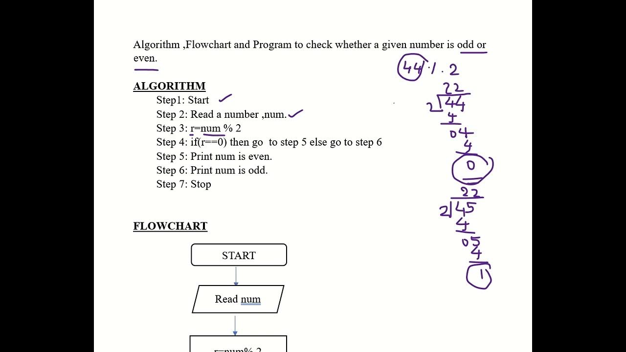 Algorithm,Flowchart,Program to check whether a given no is odd or even ... image.