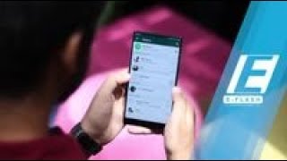 Polri Meminta WhatsApp untuk Menghapus Konten Porno Aplikasinya