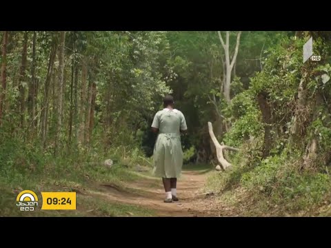 #ახალიდღე ეკოზია - რუბრიკა #ეკოლოგია