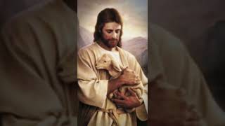 Jesus is King 👑✝️ #amen #church #edit #foryou #jesus