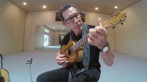 Stansell Baritone Ukulele Tenor Guitar Comparison