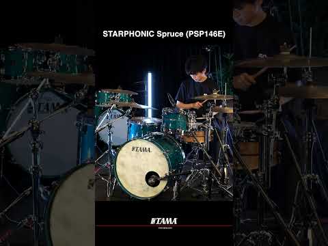 TAMA STARPHONIC Spruce (PSP146E) #shorts