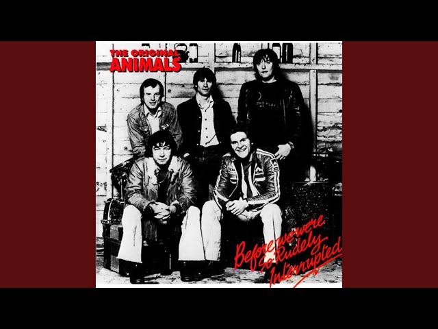 Animals - The Fool