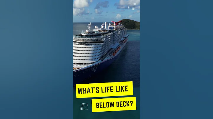 🛳️ What Really Happens Below Deck on a Carnival Celebration? Find Out - DayDayNews