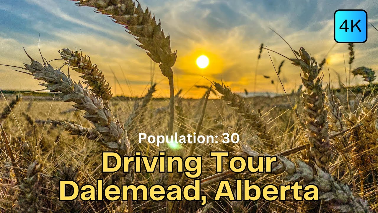 Driving Tour Dalemead, Alberta (Near Ghost Town Status) YouTube