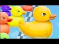 20.Duck Race:Name picker🪿 Who is the winner today?🥰