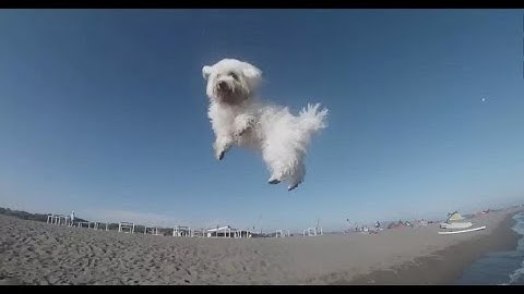 135 Seconds of Happiness in the Balkans