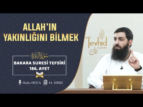 Allah’ın Yakınlığını Bilmek | Bakara Suresi Tefsiri 186. Ayet | Halis Hoca (Ebu Hanzala)