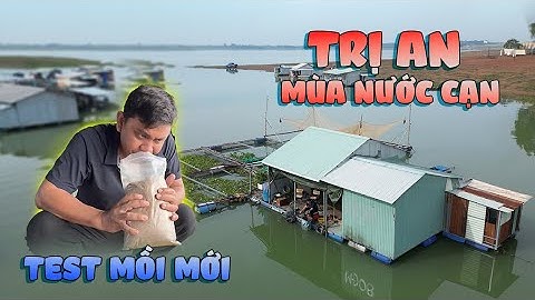 Câu Đài Thiên Nhiên | Câu cá hồ Trị An mùa nước cạn. Test bài mồi câu Khó Chịu Mới!!!