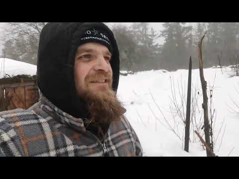 Het uitzicht op herstel 