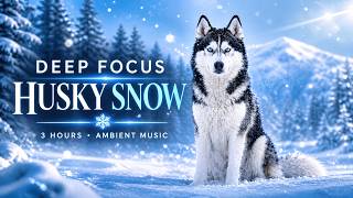 Relaxing Study Music – Husky Snow Ambient for Deep Focus &amp; Calm Mind | 3 Hours