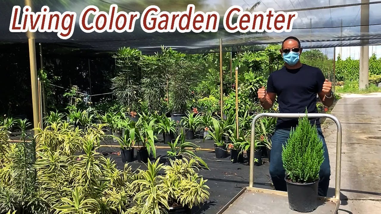 Living Color Garden Center in Dania Beach, Florida
