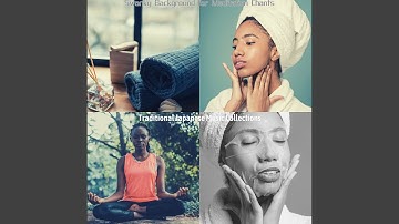 Urbane Koto and Strings - Vibe for Zen Gardens